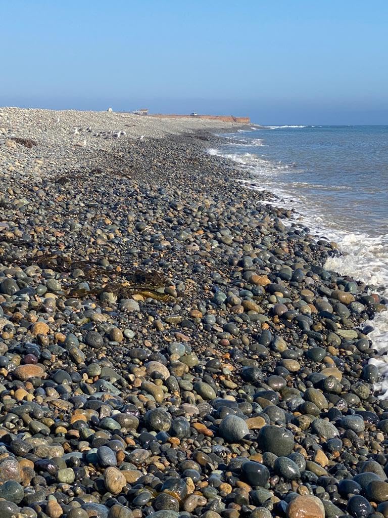 Handpicked Mexican Beach Pebbles 20 lb|Natural Unpolished Stones Perfect for Landscaping, Garden, Pathways, Crafts, Outdoor Décor|Decorative Rocks from Baja Peninsula.