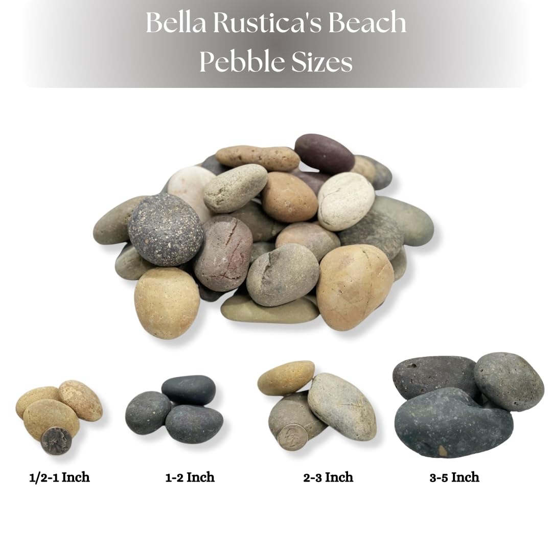 Handpicked Mexican Beach Pebbles 20 lb|Natural Unpolished Stones Perfect for Landscaping, Garden, Pathways, Crafts, Outdoor Décor|Decorative Rocks from Baja Peninsula.