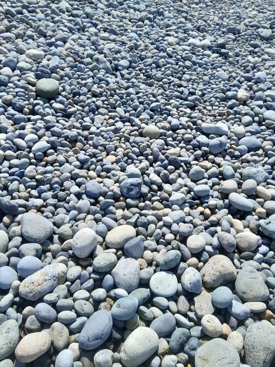 Handpicked Mexican Beach Pebbles 20 lb|Natural Unpolished Stones Perfect for Landscaping, Garden, Pathways, Crafts, Outdoor Décor|Decorative Rocks from Baja Peninsula.