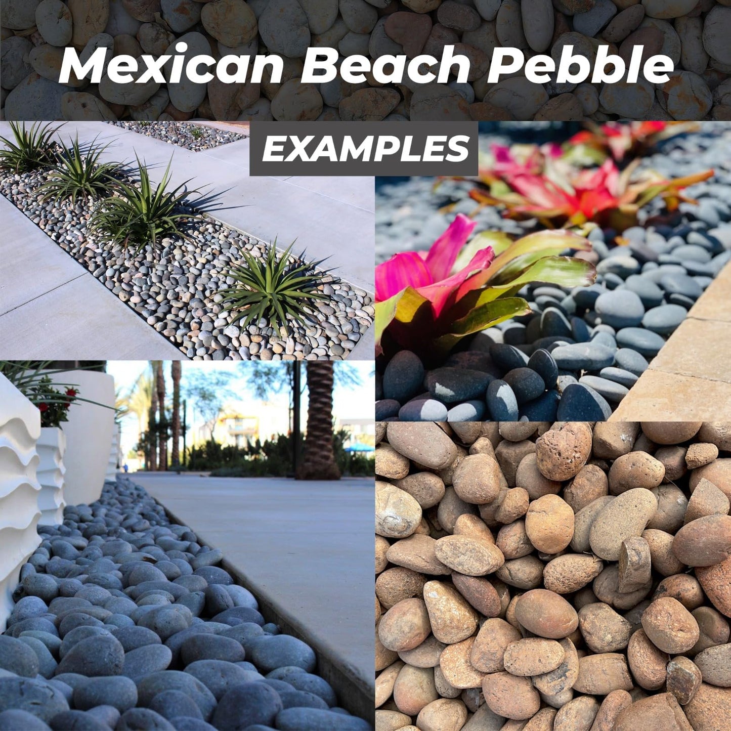 Handpicked Mexican Beach Pebbles 20 lb|Natural Unpolished Stones Perfect for Landscaping, Garden, Pathways, Crafts, Outdoor Décor|Decorative Rocks from Baja Peninsula.