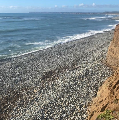 Handpicked Mexican Beach Pebbles 20 lb|Natural Unpolished Stones Perfect for Landscaping, Garden, Pathways, Crafts, Outdoor Décor|Decorative Rocks from Baja Peninsula.