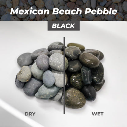 Handpicked Mexican Beach Pebbles 20 lb|Natural Unpolished Stones Perfect for Landscaping, Garden, Pathways, Crafts, Outdoor Décor|Decorative Rocks from Baja Peninsula.