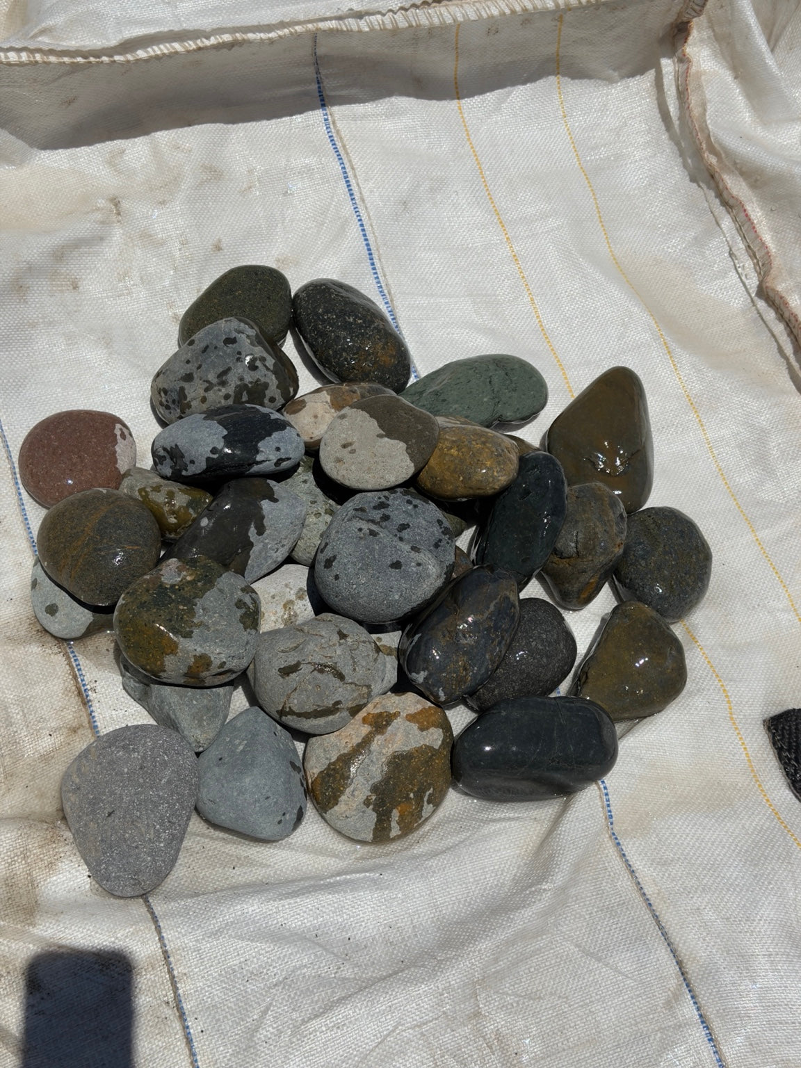 Black Mexican beach pebbles 2 to 3 inch — Pacific Pebble