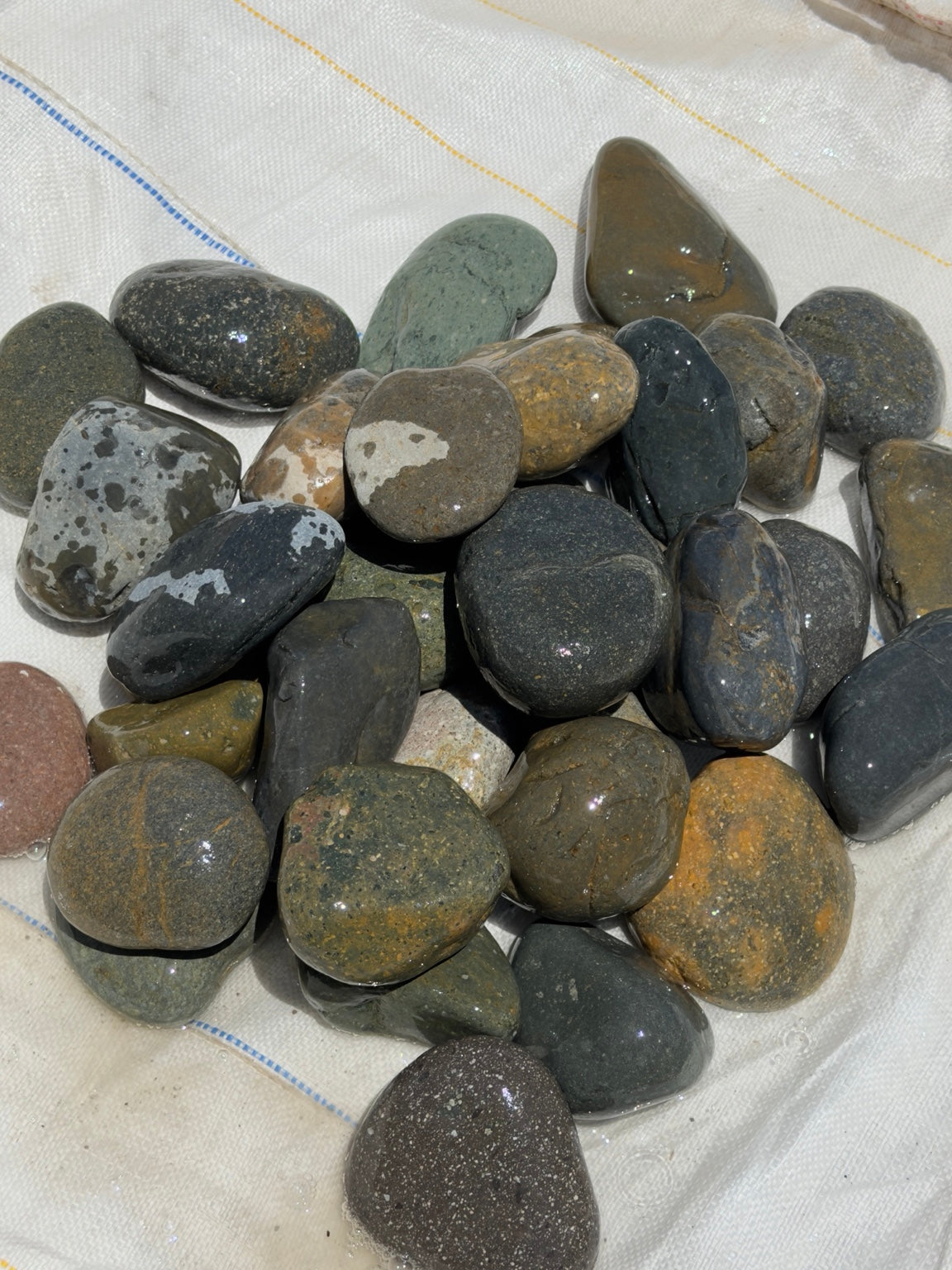 Black Mexican beach pebbles 2 to 3 inch — Pacific Pebble