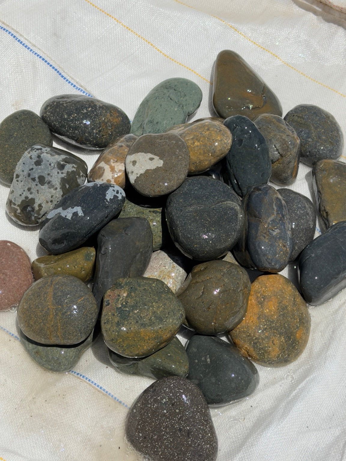 Black Mexican beach pebbles 2 to 3 inch — Pacific Pebble
