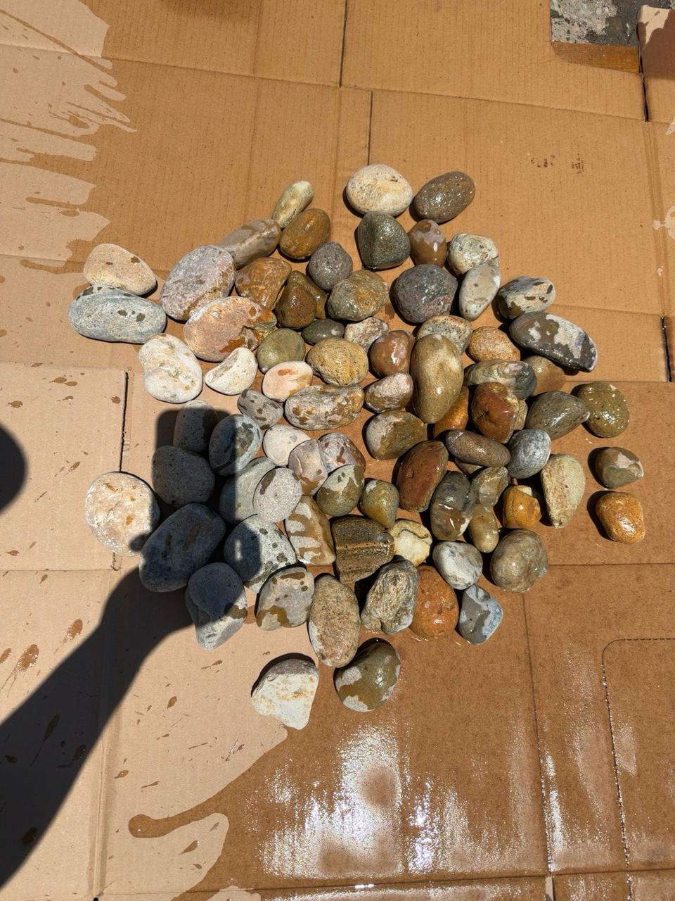 Buff Mexican beach pebbles 1 to 2 inch — Pacific Pebble
