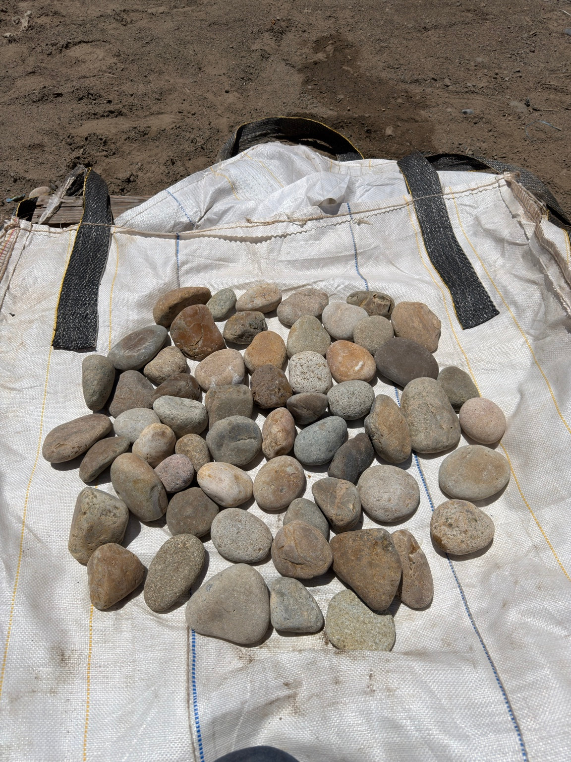 Buff Mexican beach pebbles 2 to 3 inch — Pacific Pebble