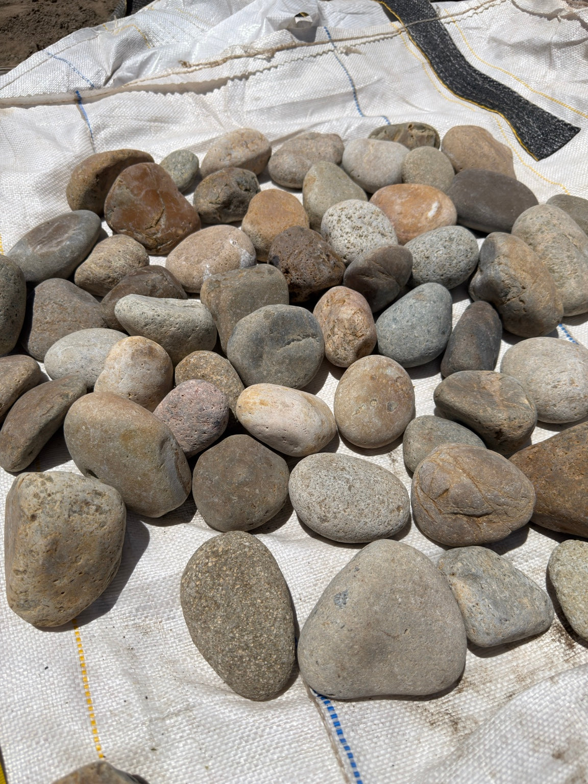 Buff Mexican beach pebbles 2 to 3 inch — Pacific Pebble