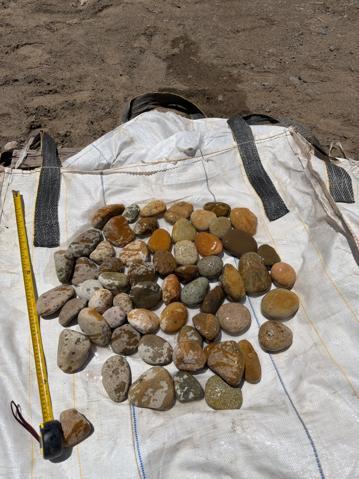 Buff Mexican beach pebbles 2 to 3 inch — Pacific Pebble
