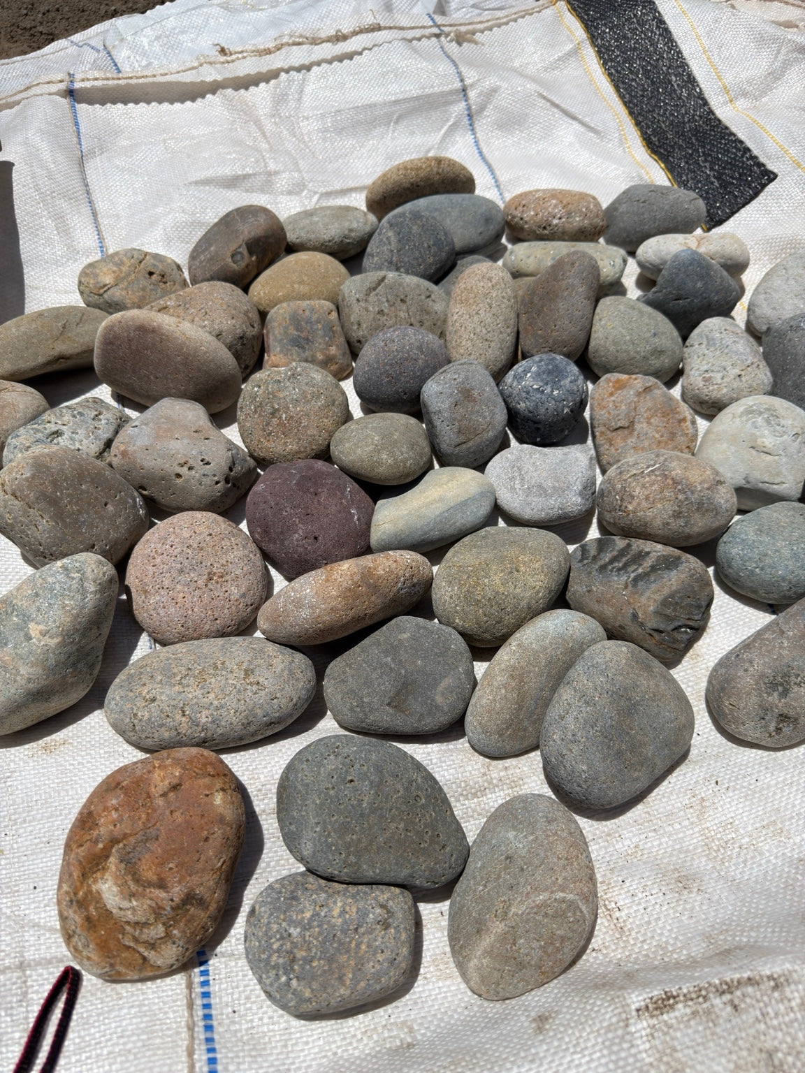 Mixed Mexican beach pebbles 2 to 3 inch — Pacific Pebble