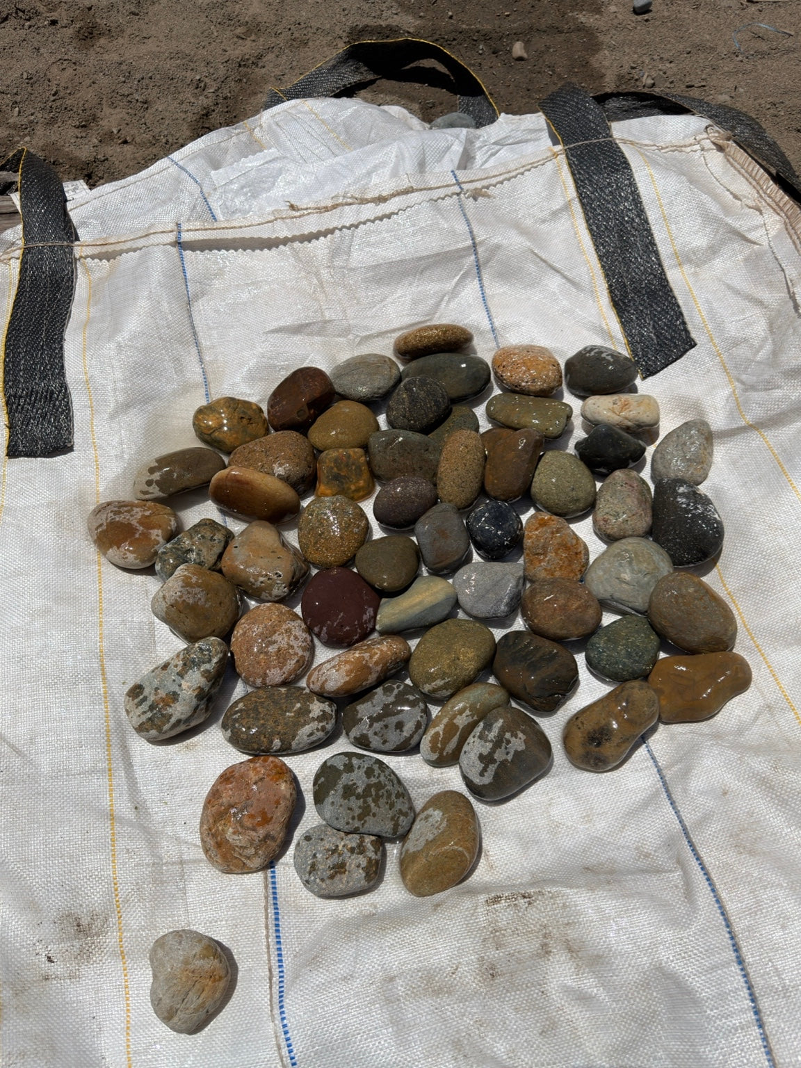 Mixed Mexican beach pebbles 2 to 3 inch — Pacific Pebble