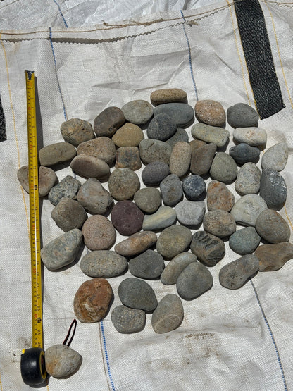 Mixed Mexican beach pebbles 2 to 3 inch — Pacific Pebble