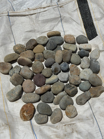Mixed Mexican beach pebbles 2 to 3 inch — Pacific Pebble