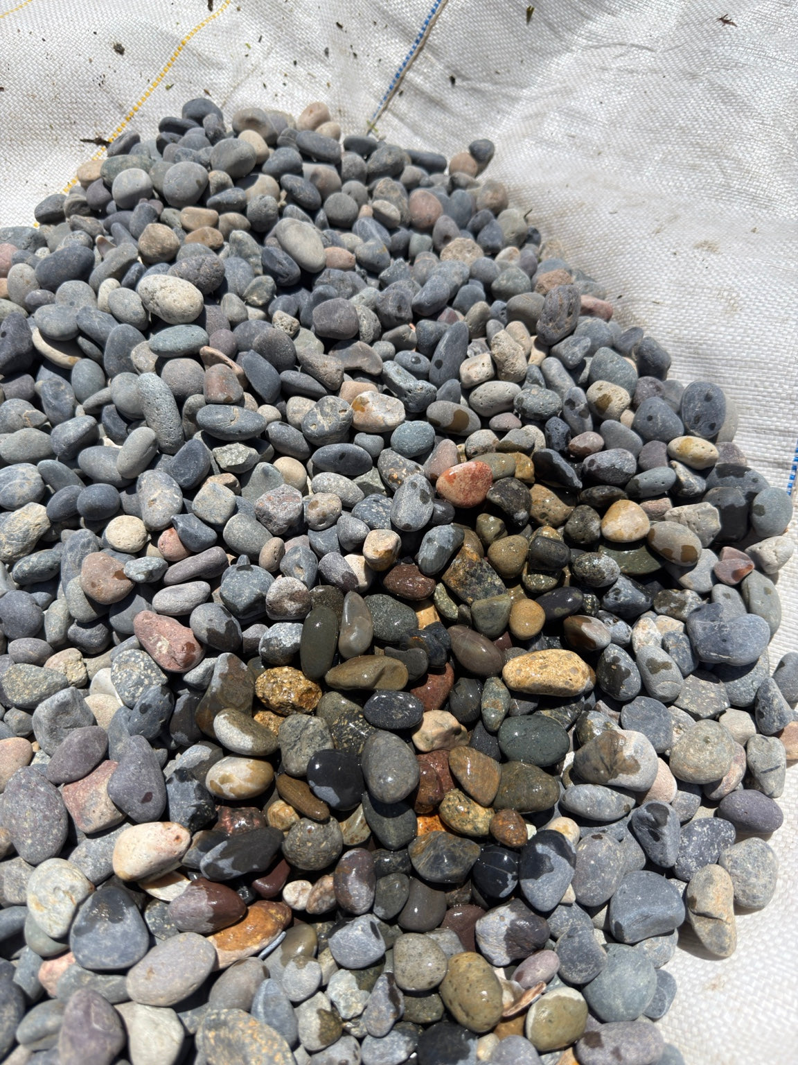 Mixed Mexican beach pebbles 3/8 inch — Pacific Pebble