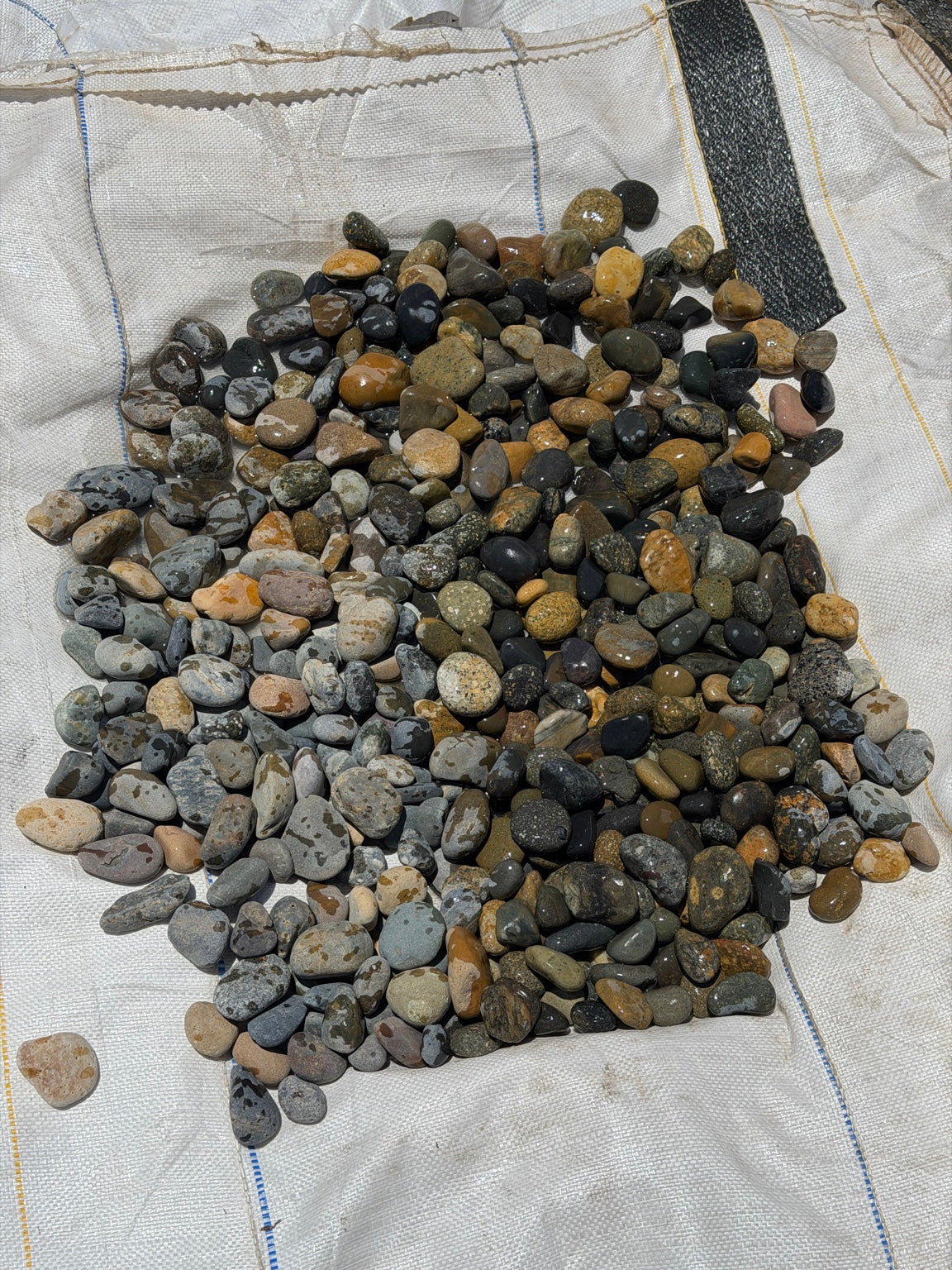 Mixed Mexican beach pebbles half to 1 inch — Pacific Pebble